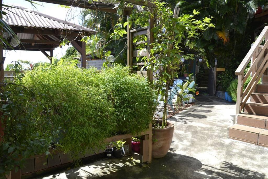 Bungalow Bananier Труа-Ривьер Экстерьер фото